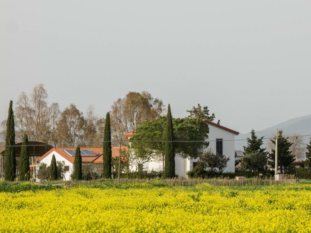 B&B Podere684 Гросето Екстериор снимка